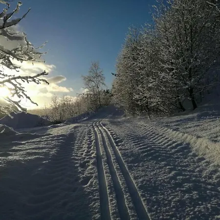 Old School Pa - Exclusive